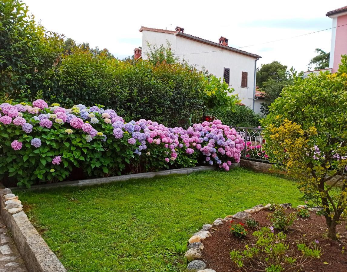 Apartments Villa Katana Poreč Buitenkant foto
